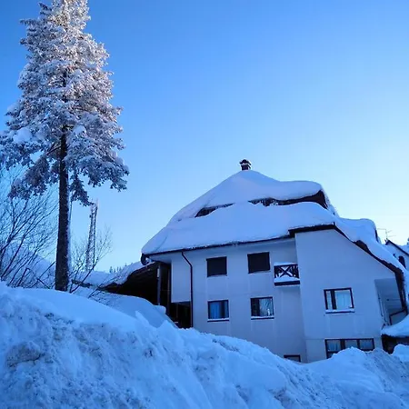 Mecava * Jahorina
